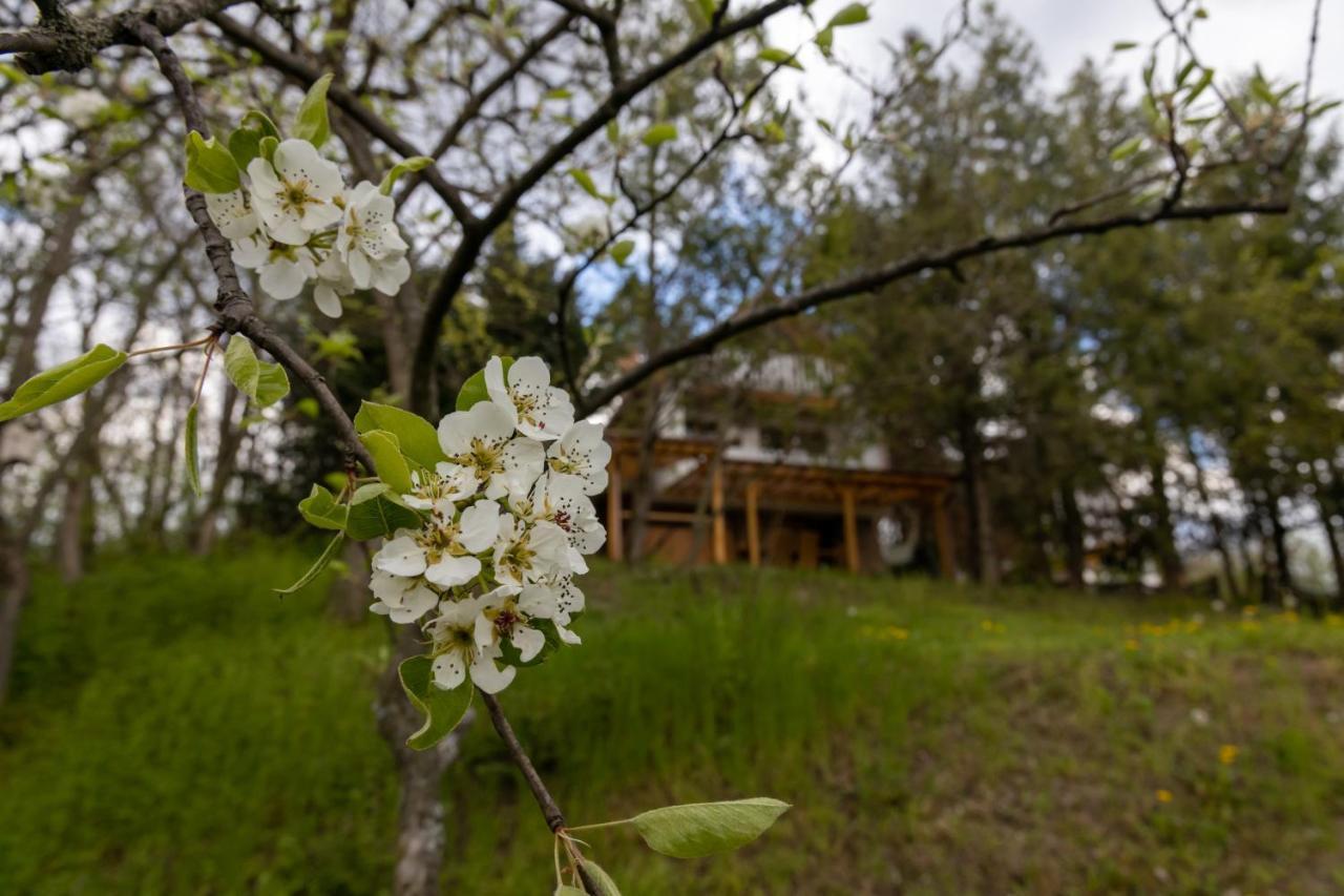 Egercottages - Csillag Cottage Экстерьер фото